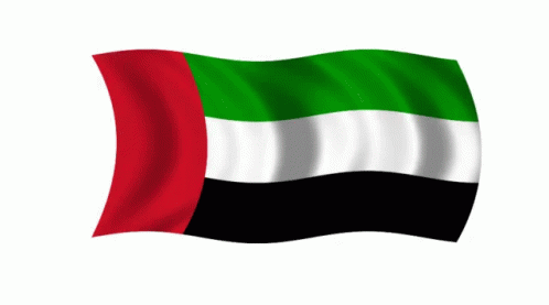 Dubai (UAE) Flag