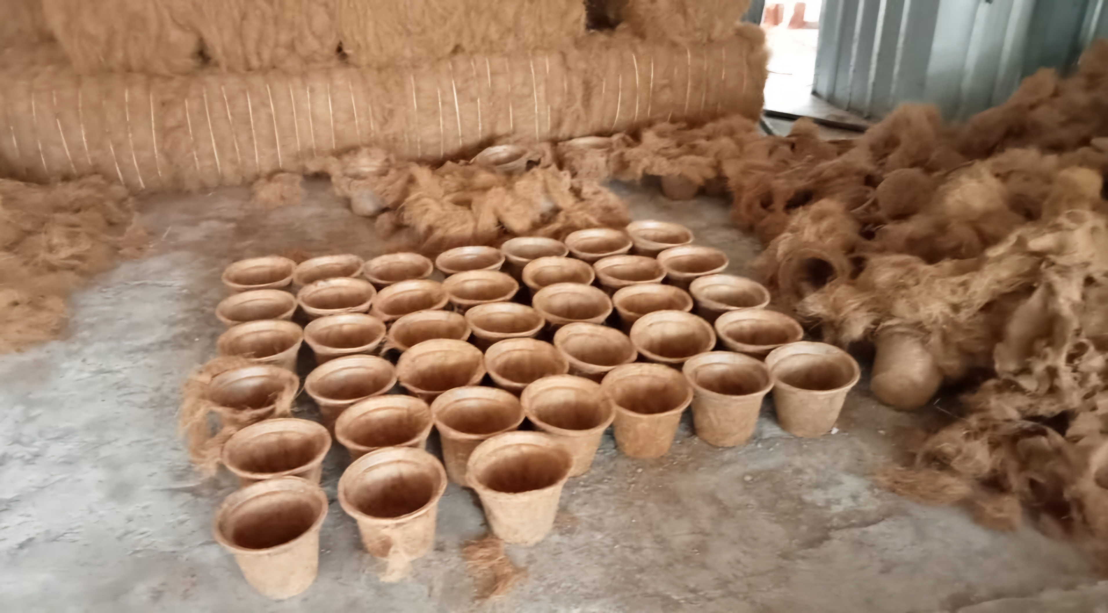 Coir Pot Sample 4