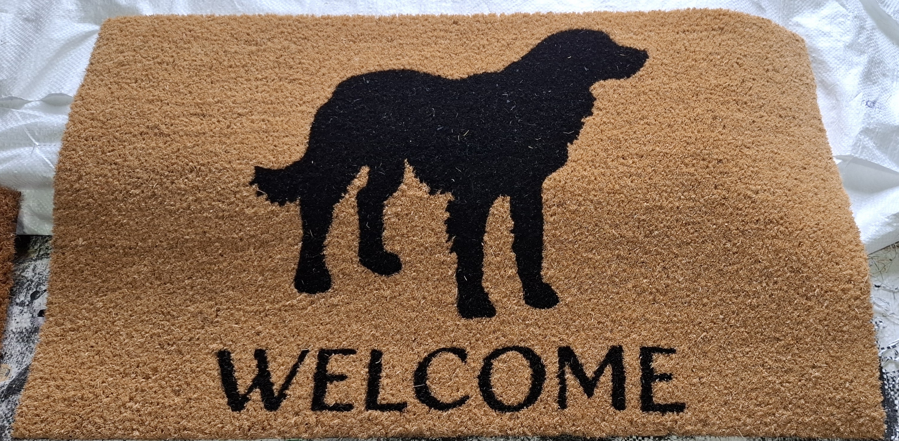 Coir Mat Sample 5