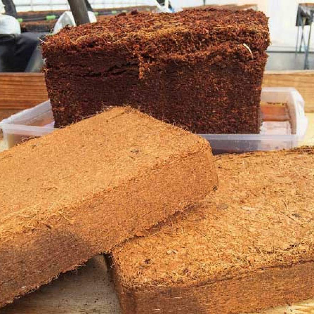 Coir Pith Sample 1