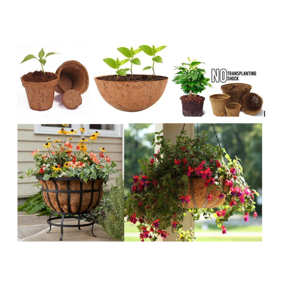 Coir Pot Sample 4